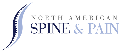 nasp logo mark png